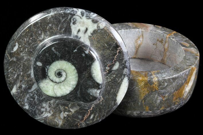 Small Fossil Goniatite Jar (Black) - Stoneware #66594